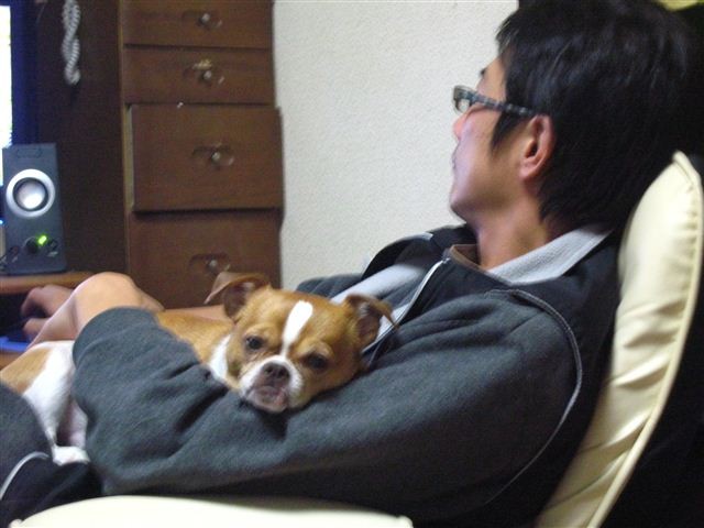 f:id:yasukazu01:20111206210330j:image
