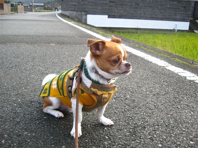 20111207162416
