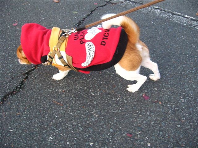 f:id:yasukazu01:20111208163405j:image
