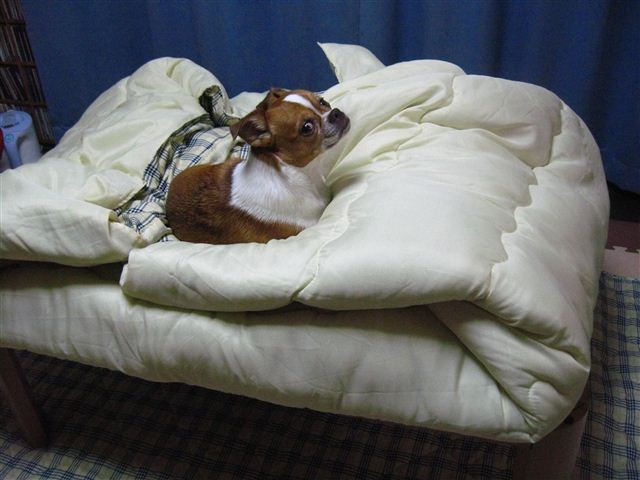 20111208191212