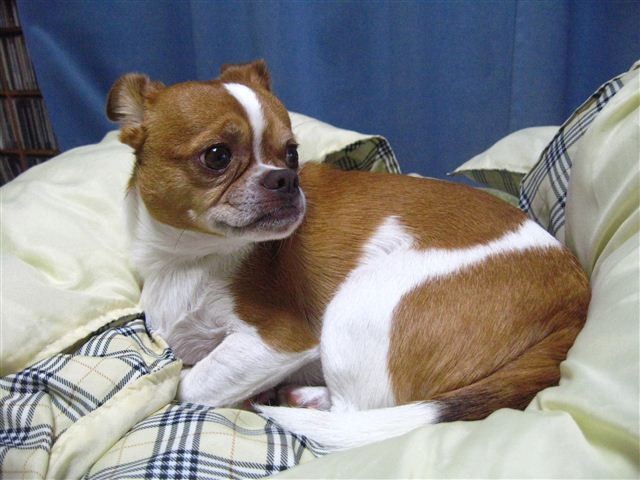 20111208192639