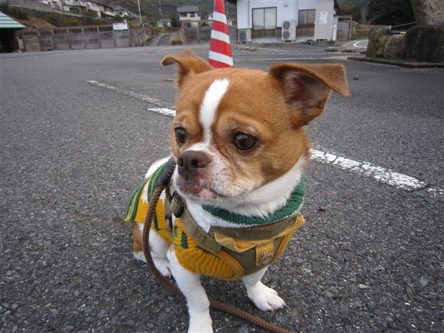 f:id:yasukazu01:20111210103403j:image f:id:yasukazu01:20111210103403j:image