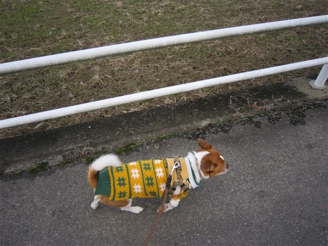 f:id:yasukazu01:20111210104242j:image f:id:yasukazu01:20111210104242j:image