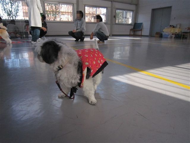 f:id:yasukazu01:20111217105236j:image f:id:yasukazu01:20111217105236j:image
