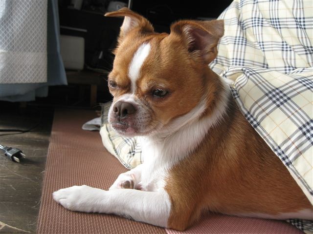 20111220132704