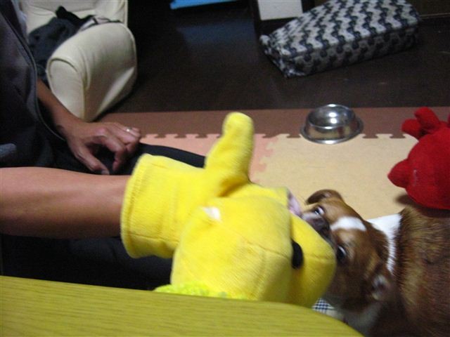 20111221201404