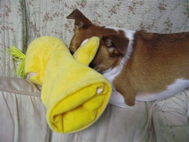 20111221201557