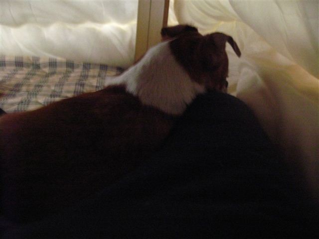 20111223135302