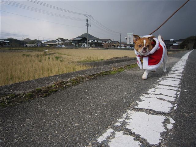 f:id:yasukazu01:20111224124833j:image