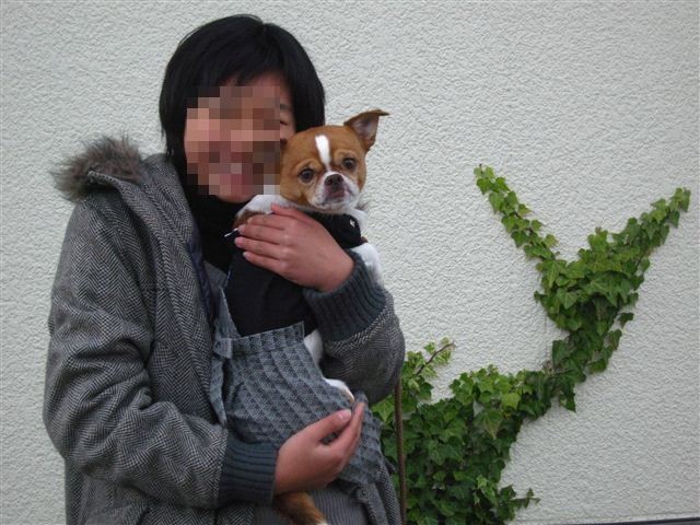 f:id:yasukazu01:20111225150228j:image f:id:yasukazu01:20111225150228j:image