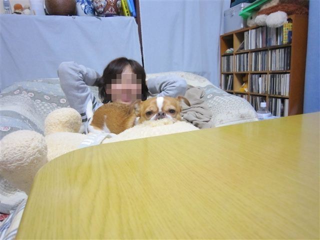 20111227200145