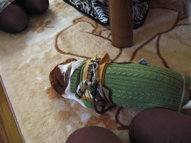 f:id:yasukazu01:20111229120430j:image f:id:yasukazu01:20111229120430j:image