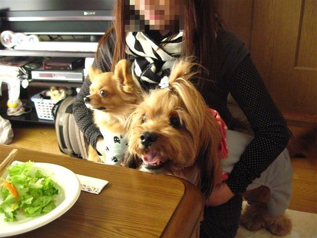 f:id:yasukazu01:20111229123548j:image f:id:yasukazu01:20111229123548j:image