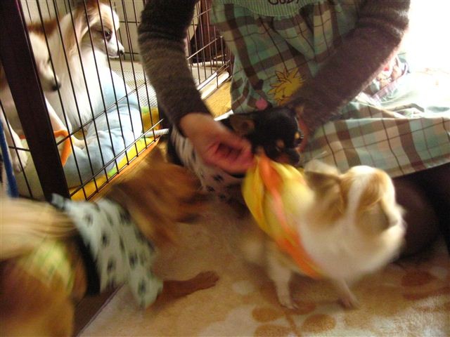 f:id:yasukazu01:20111229131202j:image f:id:yasukazu01:20111229131202j:image