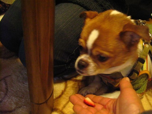 f:id:yasukazu01:20111229160733j:image f:id:yasukazu01:20111229160733j:image