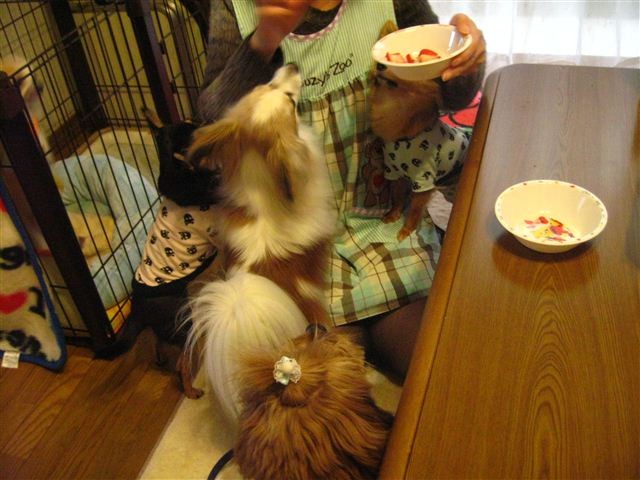 f:id:yasukazu01:20111229160803j:image f:id:yasukazu01:20111229160803j:image