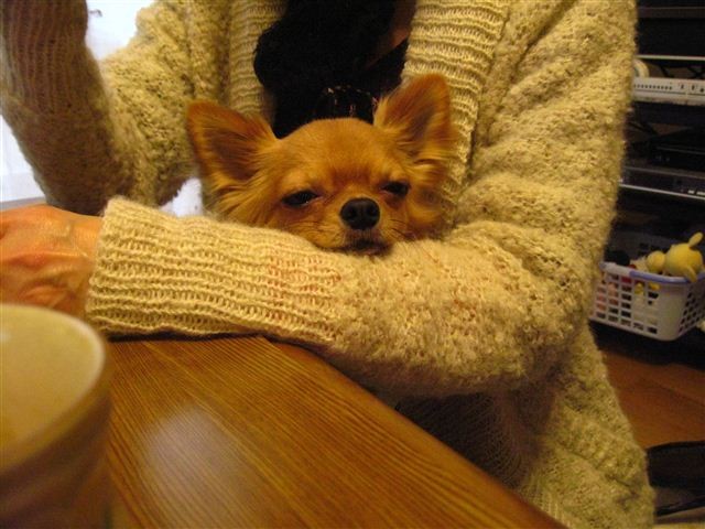 f:id:yasukazu01:20111229161147j:image f:id:yasukazu01:20111229161147j:image