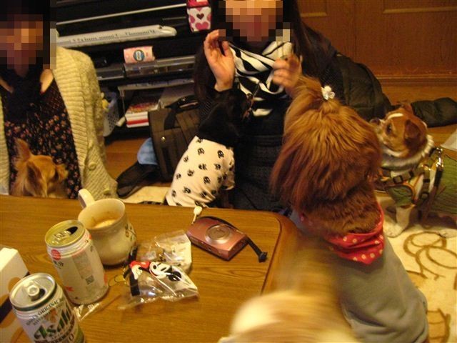 f:id:yasukazu01:20111229161931j:image f:id:yasukazu01:20111229161931j:image