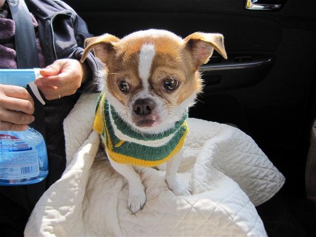f:id:yasukazu01:20120103113931j:image f:id:yasukazu01:20120103113931j:image