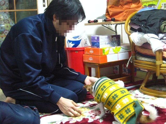 f:id:yasukazu01:20120103165849j:image f:id:yasukazu01:20120103165849j:image