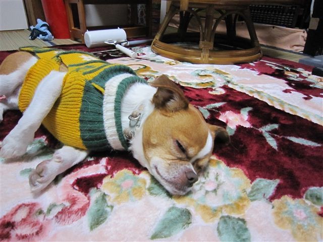 f:id:yasukazu01:20120103172928j:image f:id:yasukazu01:20120103172928j:image