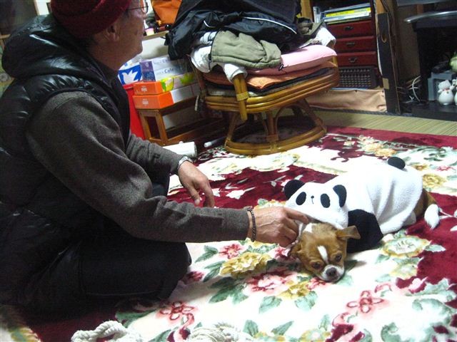 f:id:yasukazu01:20120104111854j:image f:id:yasukazu01:20120104111854j:image