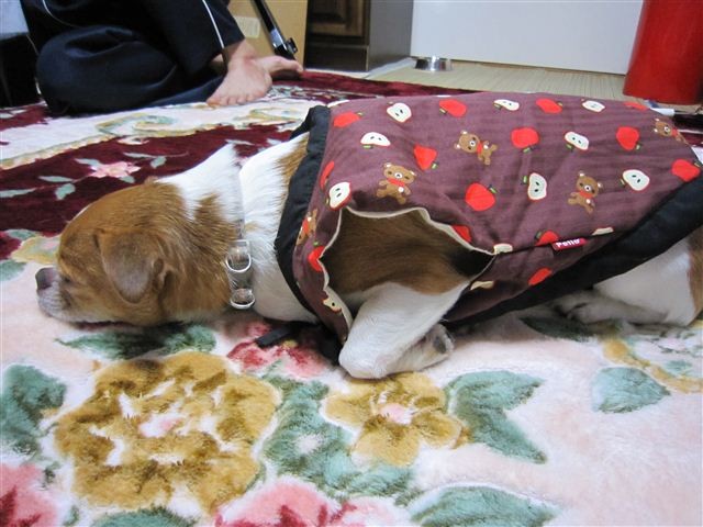 f:id:yasukazu01:20120104154957j:image