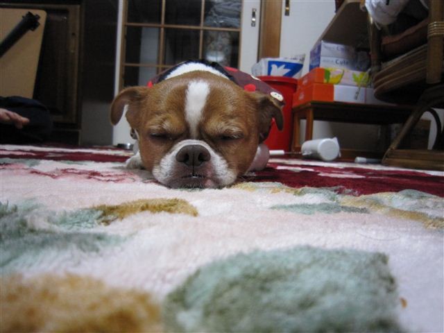 f:id:yasukazu01:20120104155630j:image