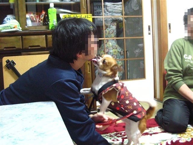 f:id:yasukazu01:20120104173514j:image
