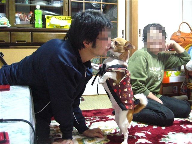 f:id:yasukazu01:20120104173739j:image