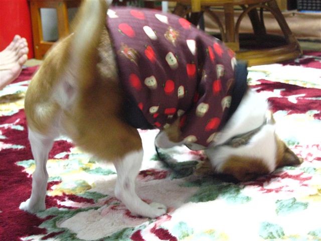 f:id:yasukazu01:20120104180909j:image