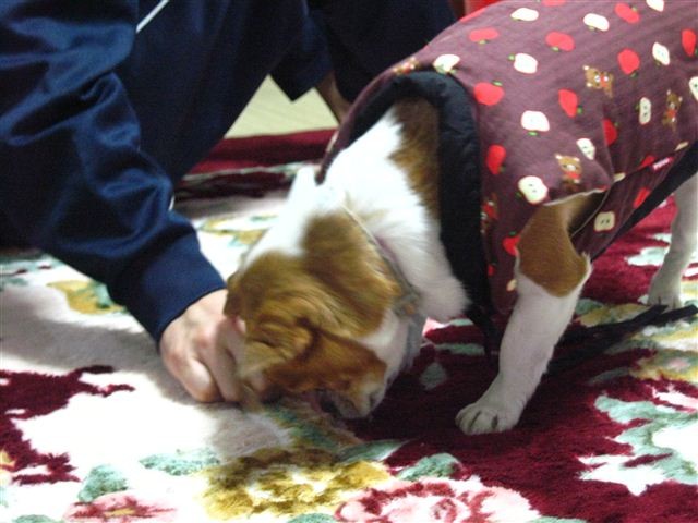 f:id:yasukazu01:20120104180923j:image