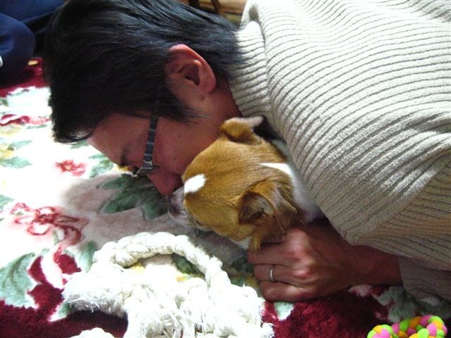 f:id:yasukazu01:20120104183236j:image