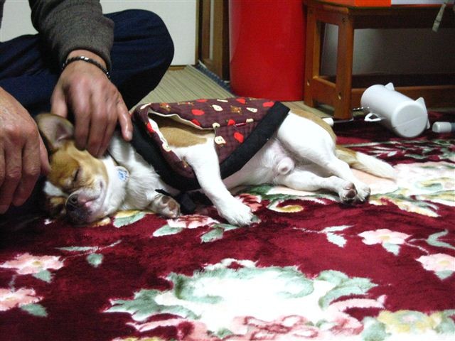 f:id:yasukazu01:20120104185212j:image