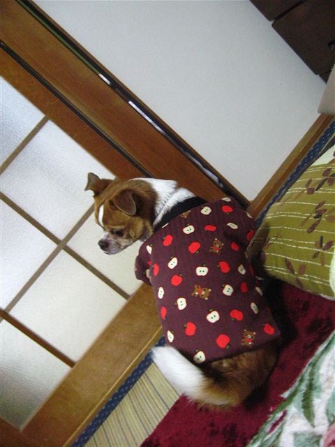 f:id:yasukazu01:20120104210636j:image