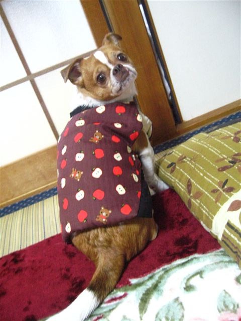f:id:yasukazu01:20120104210705j:image