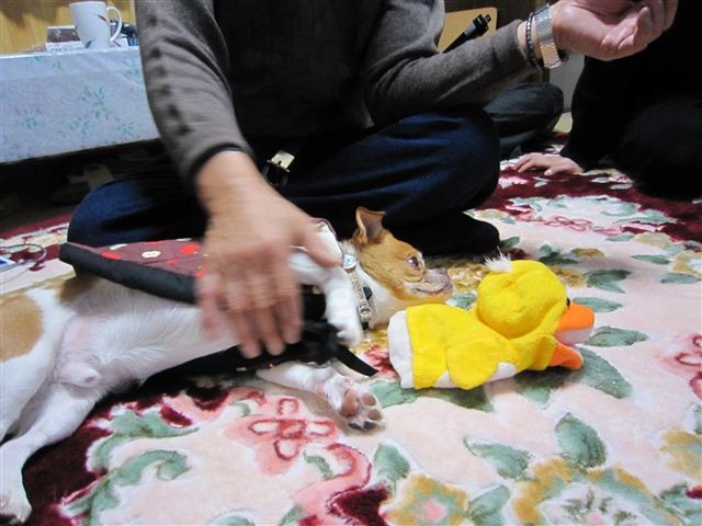 f:id:yasukazu01:20120104215045j:image