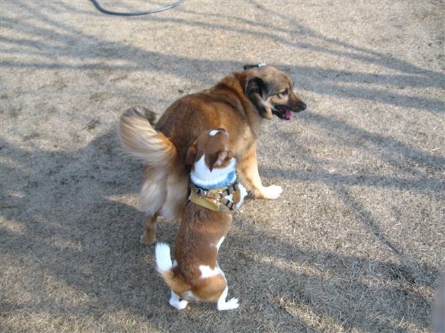 f:id:yasukazu01:20120109131020j:image