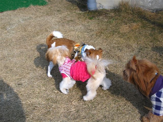 f:id:yasukazu01:20120109131725j:image