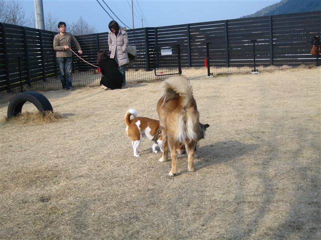 f:id:yasukazu01:20120109132029j:image