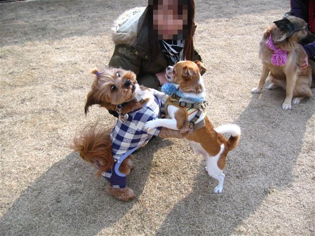 f:id:yasukazu01:20120109142520j:image f:id:yasukazu01:20120109142520j:image