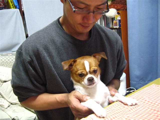 f:id:yasukazu01:20120112192425j:image