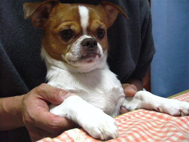 f:id:yasukazu01:20120112192438j:image