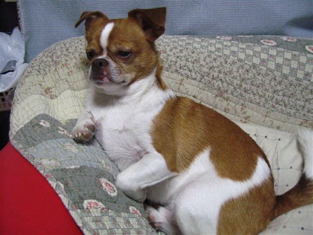 f:id:yasukazu01:20120112232102j:image