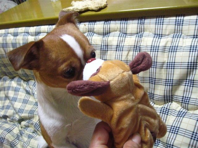 f:id:yasukazu01:20120115191859j:image
