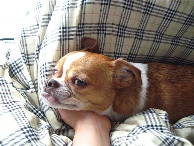 f:id:yasukazu01:20120116122111j:image
