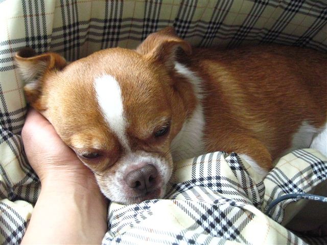 f:id:yasukazu01:20120116122249j:image