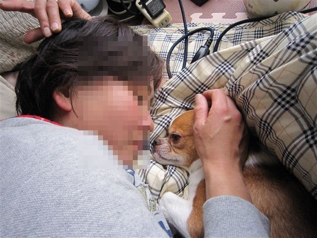 f:id:yasukazu01:20120116123145j:image