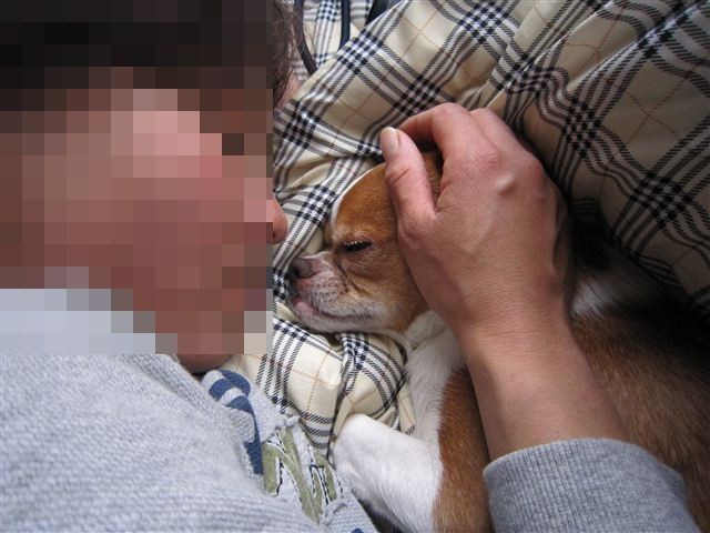 f:id:yasukazu01:20120116123155j:image