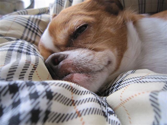 f:id:yasukazu01:20120116130050j:image